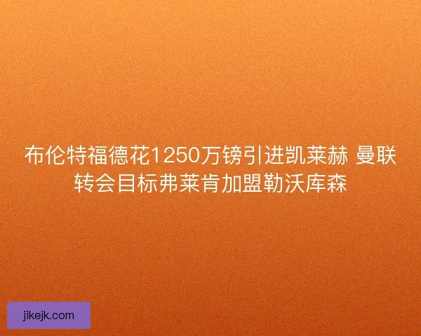 布伦特福德花1250万镑引进凯莱赫 曼联转会目标弗莱肯加盟勒沃库森